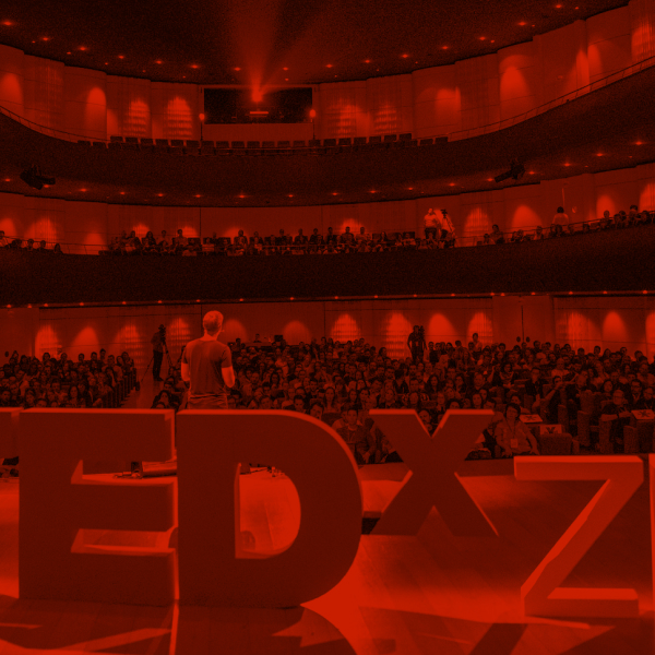 zahájení